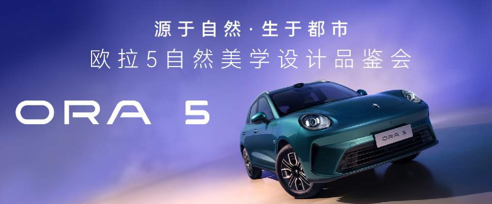 二十九號店-哈弗新能源、歐拉