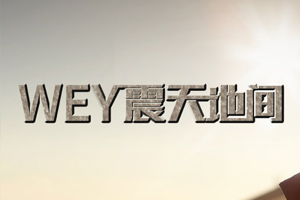 四號店-魏牌、坦克